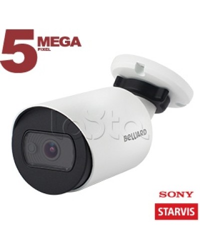 IP-камера видеонаблюдения в стандартном исполнении Beward SV3210RC в Комсомольске-на-Амуре IP-камеры Pintop.ru