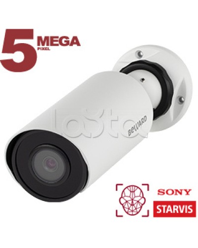 IP-камера видеонаблюдения в стандартном исполнении Beward SV3218R2 2.8 в Комсомольске-на-Амуре IP-камеры Pintop.ru