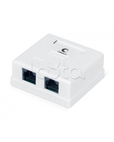 Розетка компьютерная RJ-45, категория 5e, двойная, внешняя, Dual IDC Cabeus WS-8P8C-Cat.5e-2 в Комсомольске-на-Амуре Розетки компьютерные и телефонные Pintop.ru