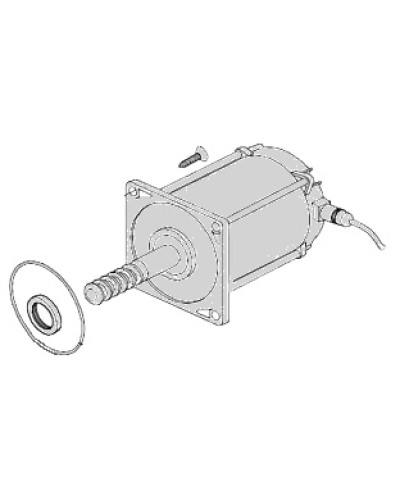 Электродвигатель Came 119RIA025 в Комсомольске-на-Амуре Запчасти для шлагбаумов и автоматики Pintop.ru