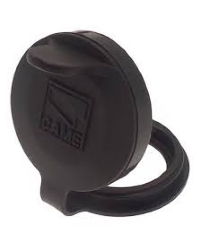 Защита целиндра замка A4366 Came 119RIA051 в Комсомольске-на-Амуре Запчасти для шлагбаумов и автоматики Pintop.ru