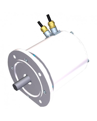 Электродвигатель FROG-MS Came 119RIA081 в Комсомольске-на-Амуре Запчасти для шлагбаумов и автоматики Pintop.ru