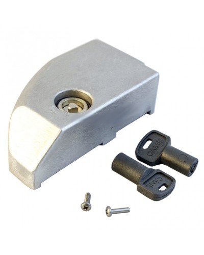 Дверца замка разблокировки BK Came 119RIBK012 в Комсомольске-на-Амуре Запчасти для шлагбаумов и автоматики Pintop.ru