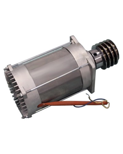 Электродвигатель ВК-2200 Came 119RIBK021 в Комсомольске-на-Амуре Запчасти для шлагбаумов и автоматики Pintop.ru