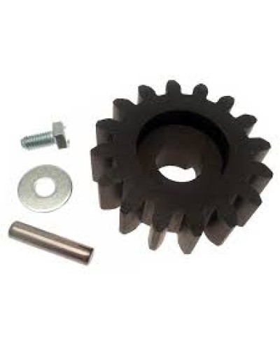 Шестерня для цепной передачи Came 119RIBK036 в Комсомольске-на-Амуре Запчасти для шлагбаумов и автоматики Pintop.ru
