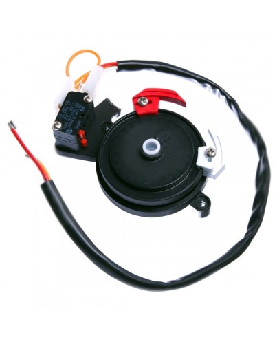 Концевые микровыключатели в сборе BX-243 Came 119RIBX041 в Комсомольске-на-Амуре Запчасти для шлагбаумов и автоматики Pintop.ru