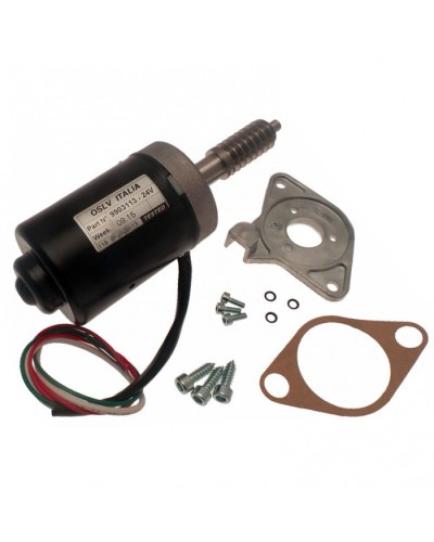 Электродвигатель BX-243 в сборе Came 119RIBX046 в Комсомольске-на-Амуре Запчасти для шлагбаумов и автоматики Pintop.ru