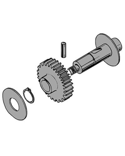 Вал в сборе C100 Came 119RIC011 в Комсомольске-на-Амуре Запчасти для шлагбаумов и автоматики Pintop.ru