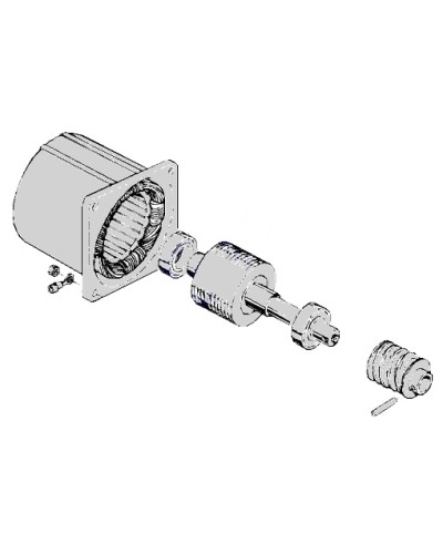 Электродвигатель С-100 Came 119RIC052 в Комсомольске-на-Амуре Запчасти для шлагбаумов и автоматики Pintop.ru