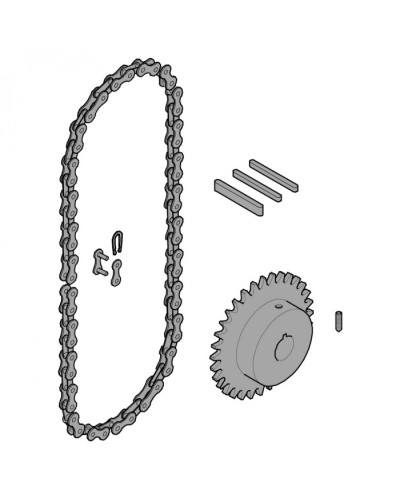 Передающая система (цепь и звездочки) C005 Came 119RICX016 в Комсомольске-на-Амуре Запчасти для шлагбаумов и автоматики Pintop.ru