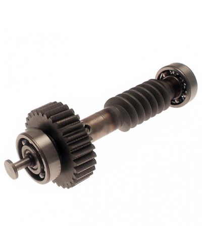 Червяк редуктора FAST в сборе Came 119RID228 в Комсомольске-на-Амуре Запчасти для шлагбаумов и автоматики Pintop.ru