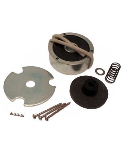 Электромагнит AMICO в сборе Came 119RID274 в Комсомольске-на-Амуре Запчасти для шлагбаумов и автоматики Pintop.ru