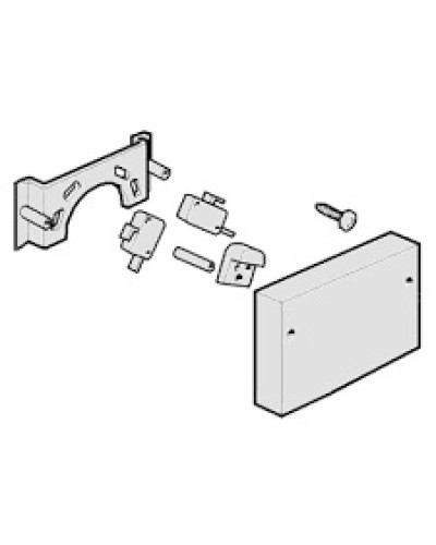 Микровыключатели G4000, G3750 Came 119RIG040 в Комсомольске-на-Амуре Запчасти для шлагбаумов и автоматики Pintop.ru