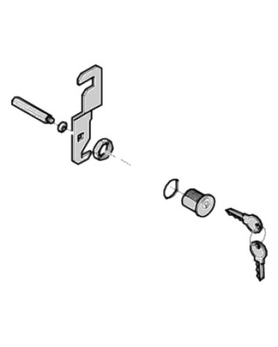 Замок дверцы G4040 G4041 Came 119RIG176 в Комсомольске-на-Амуре Запчасти для шлагбаумов и автоматики Pintop.ru