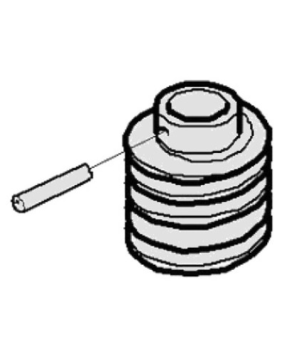 Червяк G3000 Came 119RIG413 в Комсомольске-на-Амуре Запчасти для шлагбаумов и автоматики Pintop.ru