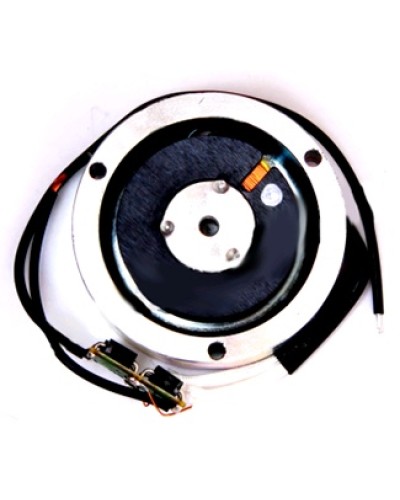 Электромагнит BY1500T Came 119RIY034 в Комсомольске-на-Амуре Запчасти для шлагбаумов и автоматики Pintop.ru