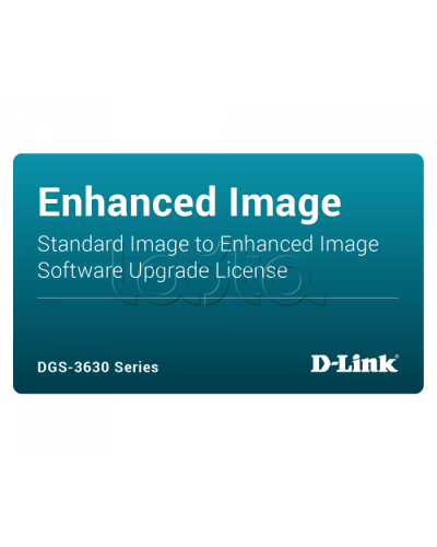 ПО D-Link DGS-3630-28PC-SE-LIC в Комсомольске-на-Амуре Беспроводное оборудование Pintop.ru