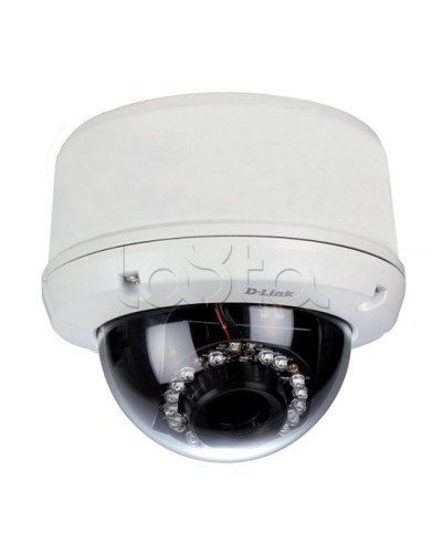 IP-камера видеонаблюдения уличная купольная D-Link DCS-6510/EP в Комсомольске-на-Амуре IP-камеры Pintop.ru