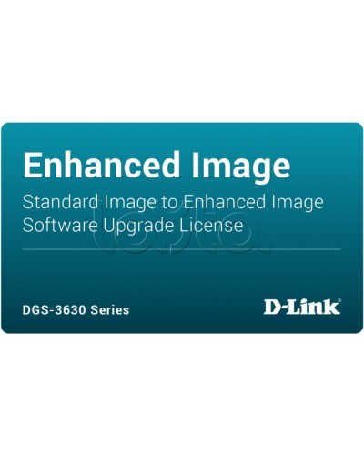 ПО D-Link DGS-3630-28TC-SE-LIC в Комсомольске-на-Амуре Беспроводное оборудование Pintop.ru