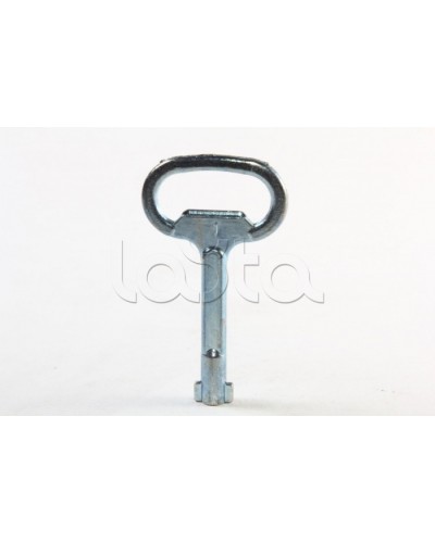 Металлический ключ с двойной бородкой 3мм DKC R5CE230 в Комсомольске-на-Амуре Крепежные изделия Pintop.ru