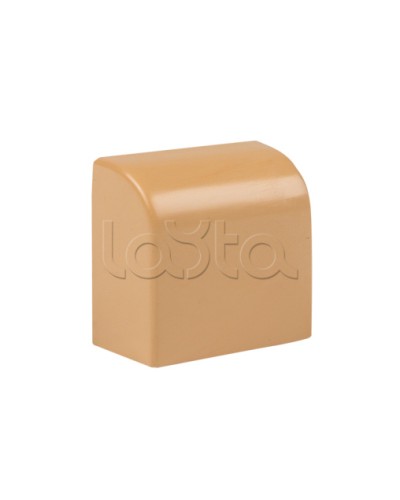 Заглушка (40х16) (4 шт) светлое дерево EKF-Plast (ecl-40-16x4) в Комсомольске-на-Амуре Аксессуары для кабель-канала Pintop.ru