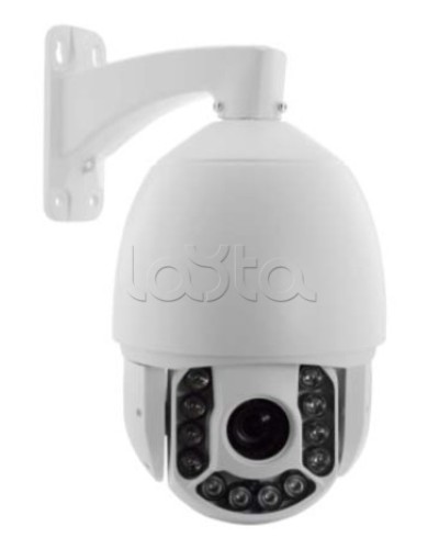 IP-камера видеонаблюдения купольная EverFocus ACE-ATE2033 в Комсомольске-на-Амуре IP-камеры Pintop.ru