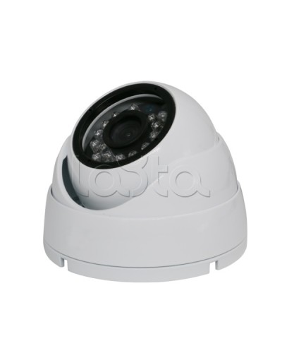 Камера видеонаблюдения купольная EverFocus ACE-IAB20XHD в Комсомольске-на-Амуре Аналоговые камеры Pintop.ru