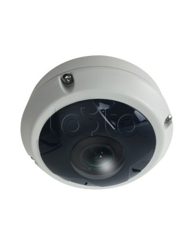 IP-камера видеонаблюдения купольная EverFocus ACE-KU89F в Комсомольске-на-Амуре IP-камеры Pintop.ru