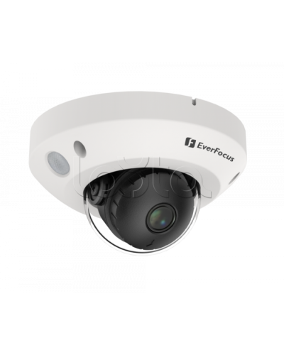 IP-камера видеонаблюдения купольная EverFocus EMN2560-SG в Комсомольске-на-Амуре IP-камеры Pintop.ru