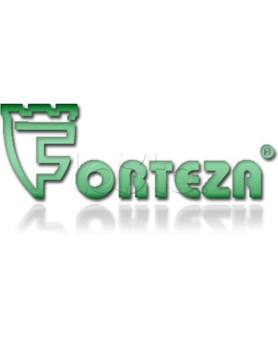 Плата сменная Forteza Плата БГр-4 в Комсомольске-на-Амуре Устройства защиты операционных процессоров (ОПС) Pintop.ru