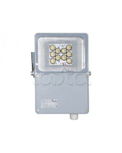 Прожектор светодиодный Forteza ФОСФОР-40/10-А (металл) в Комсомольске-на-Амуре Аксессуары для средств охраны периметра Pintop.ru