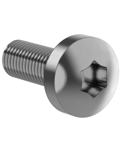 Винт М6х16 IEK (FO-00D-VTORX-M6X16-020) в Комсомольске-на-Амуре Аксессуары для стоек и шкафов Pintop.ru