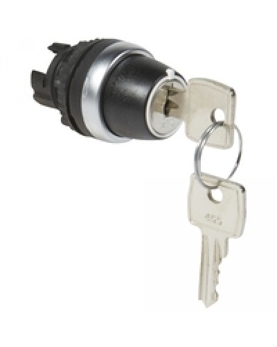 Переключатель с ключом № 455 Osmoz для комплектации без подсветки Legrand 023955 в Комсомольске-на-Амуре Дополнительное оборудование для СКУД Pintop.ru