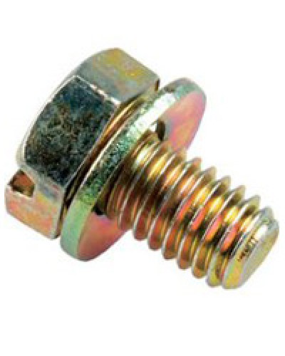 Винт с шайбой М6х10мм TH Legrand 036775 в Комсомольске-на-Амуре Крепеж Pintop.ru