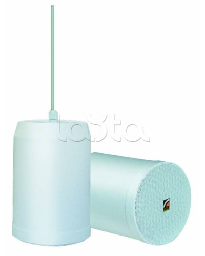 Громкоговоритель встраиваемый ROXTON SP-20T в Комсомольске-на-Амуре Система оповещения и трансляции Roxton Pintop.ru