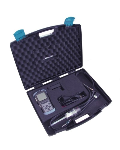 Газоанализатор Seitron CHEMIST 101 в Комсомольске-на-Амуре Технологические извещатели Pintop.ru