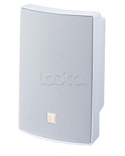 Громкоговоритель универсальный двухполосный TOA BS-1030W в Комсомольске-на-Амуре Системы оповещения и трансляции TOA Pintop.ru