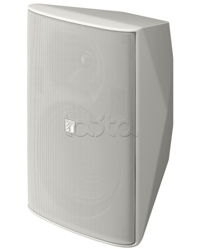 Громкоговоритель 2 полосный TOA F-2000 WT в Комсомольске-на-Амуре Системы оповещения и трансляции TOA Pintop.ru