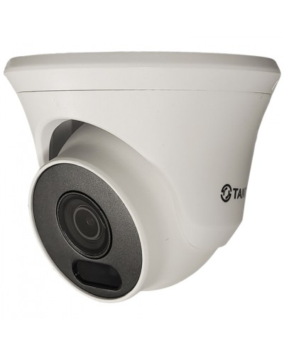 Видеокамера в купольном исполнении уличная Tantos TSc-Ee2FN в Комсомольске-на-Амуре Системы видеонаблюдения Pintop.ru