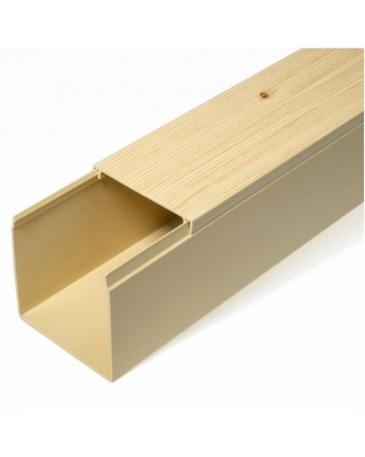 Кабель-канал сосна 2-й замок в п/э 60х60 (12 м/уп) Промрукав (PR03.0188) в Комсомольске-на-Амуре Кабель-канал Pintop.ru