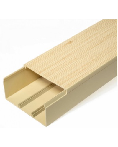 Кабель-канал сосна 2-й замок в п/э 100х60 (8 м/уп) Промрукав (PR03.0192) в Комсомольске-на-Амуре Кабель-канал Pintop.ru