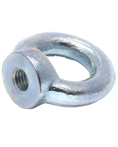 Рым-гайка М10 DIN 582 (50 шт/уп) Промрукав (PR08.3905) в Комсомольске-на-Амуре Крепеж Pintop.ru