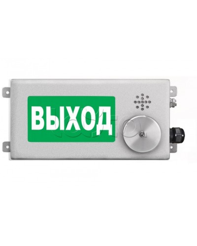 Табло световое взрывозащищенное Спектрон ТСВ-Exi-Н-Прометей-МИНИ 12-36В в Комсомольске-на-Амуре Оповещатели Ex Pintop.ru