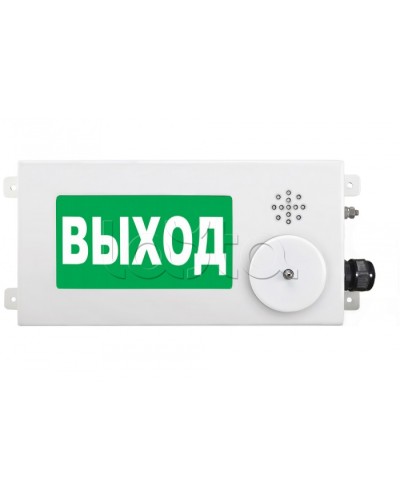 Табло световое взрывозащищенное Спектрон ТСВ-Exm-М-Прометей-МИНИ 12-36 В ПОЖАР в Комсомольске-на-Амуре Оповещатели Ex Pintop.ru