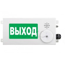 Табло световое взрывозащищенное Спектрон ТСВ-Exm-М-Прометей-МИНИ 220В