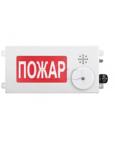 Табло светозвуковое взрывозащищенное Спектрон ТСЗВ-Exi-М-Прометей-МИНИ 12-36В в Комсомольске-на-Амуре Оповещатели Ex Pintop.ru