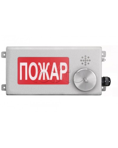 Табло светозвуковое взрывозащищенное Спектрон ТСЗВ-Exm-Н-Прометей-МИНИ 12-36В в Комсомольске-на-Амуре Оповещатели Ex Pintop.ru